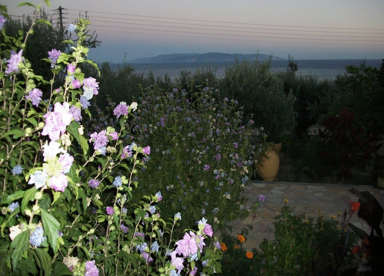Ferienwohnung Ramona Lourdata  Apartment Lourdata (Kefalonia)